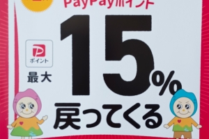 この機会にPayPayで小顔矯正を体験しませんか?