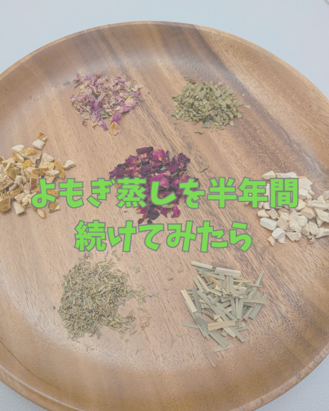 よもぎ蒸しを半年間続けてみたら🥰